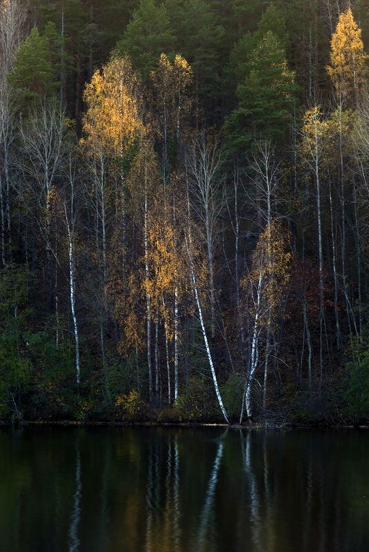 карелия *** фото превью