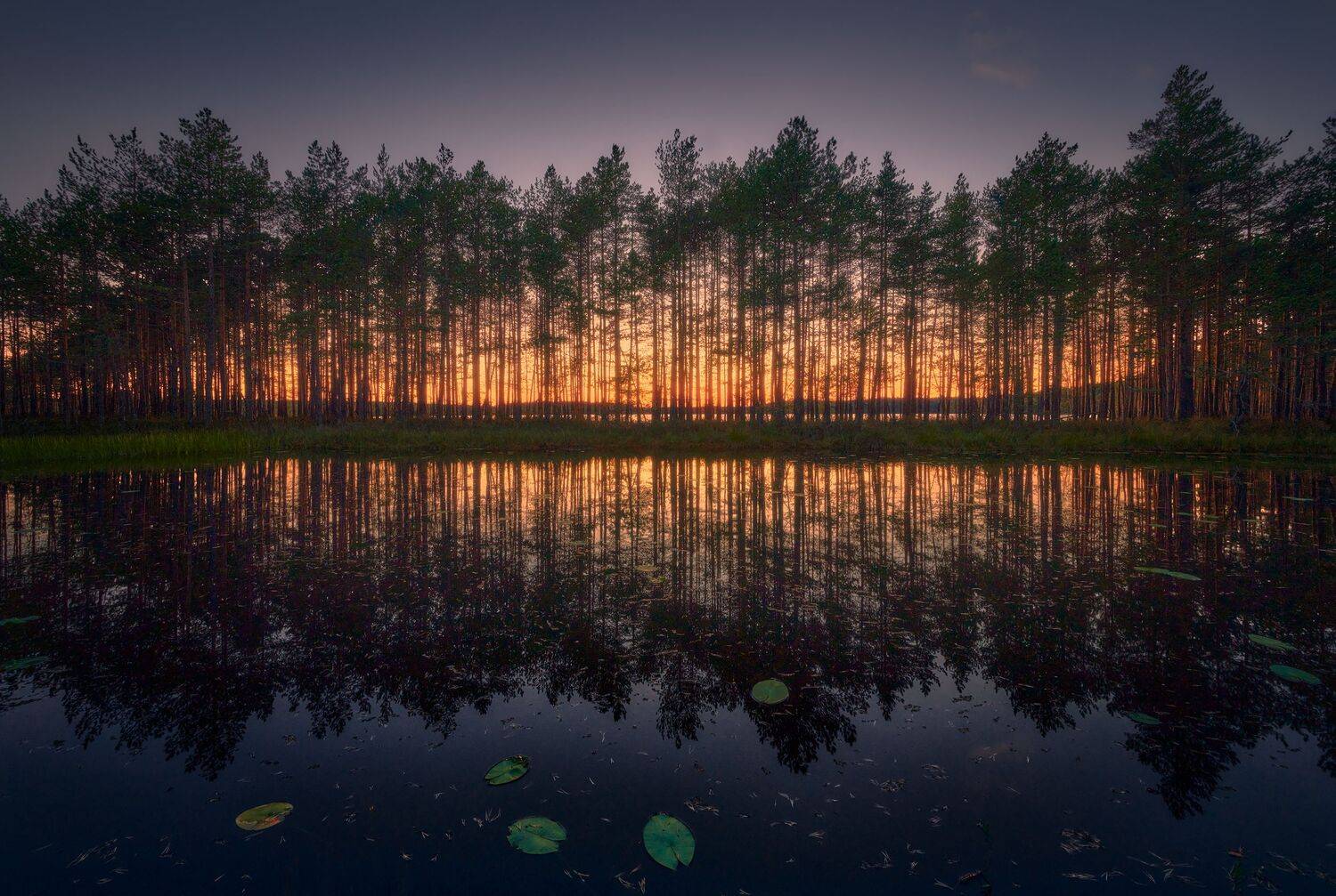 , Антон Кононов