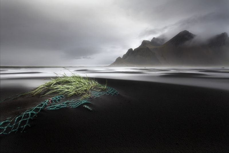 iceland, vestrahorn, beach, black, sand. water, sea, plants, black and white Vestrahorn фото превью