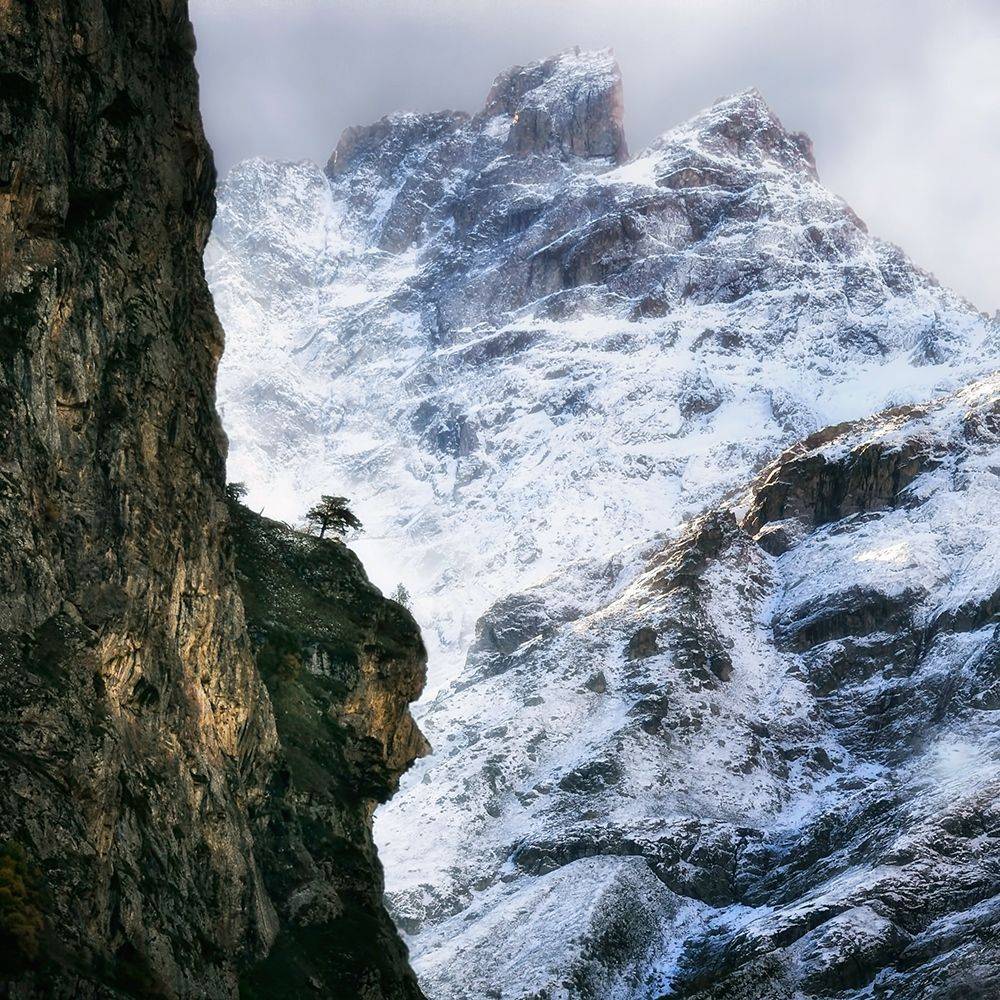 , Геннадий Чеботарев