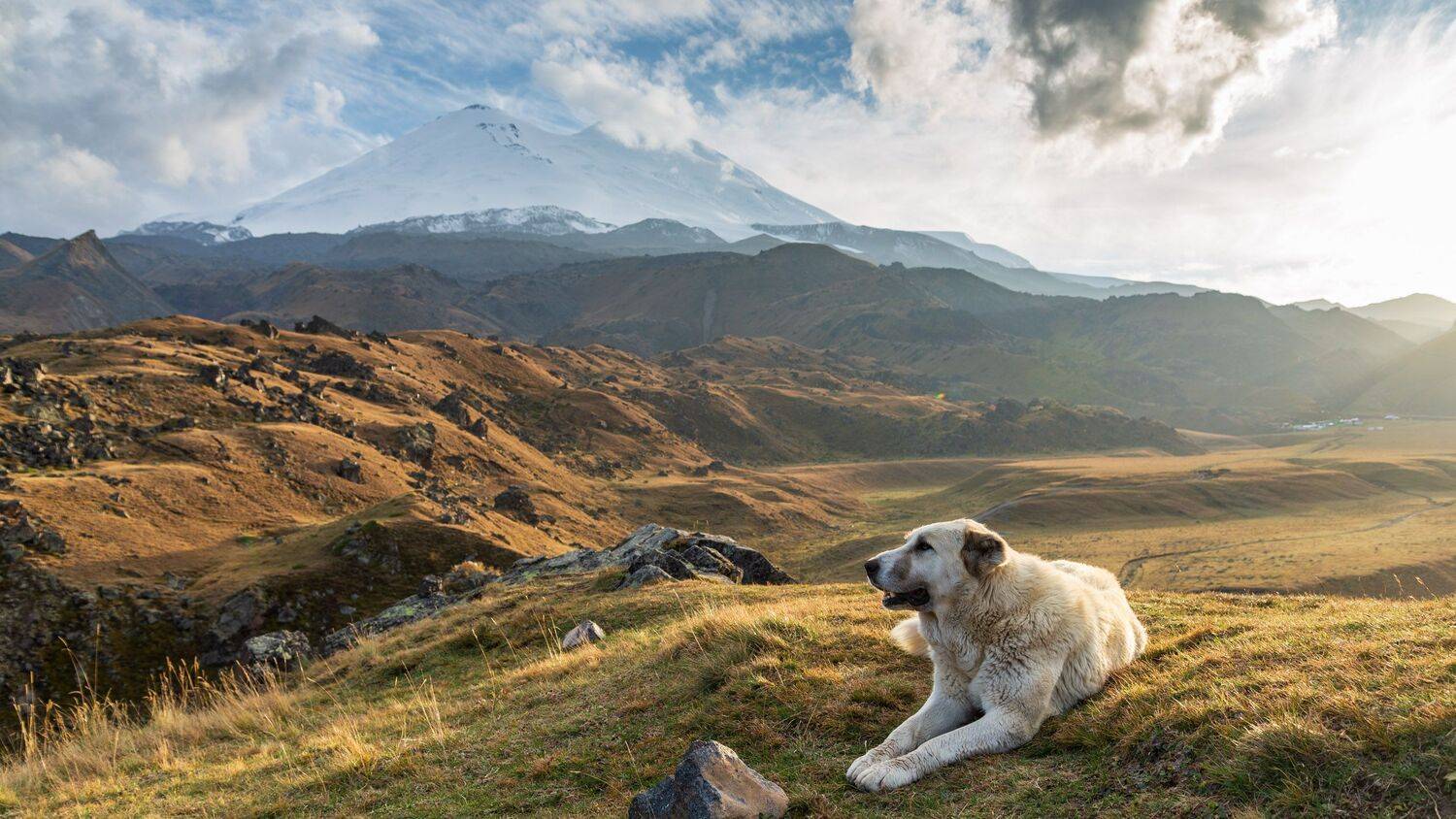 кавказ, Исаков Дмитрий