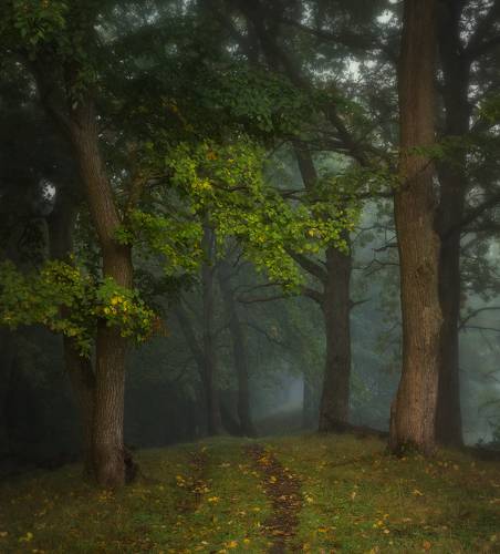 Подступающая пора меланхолии