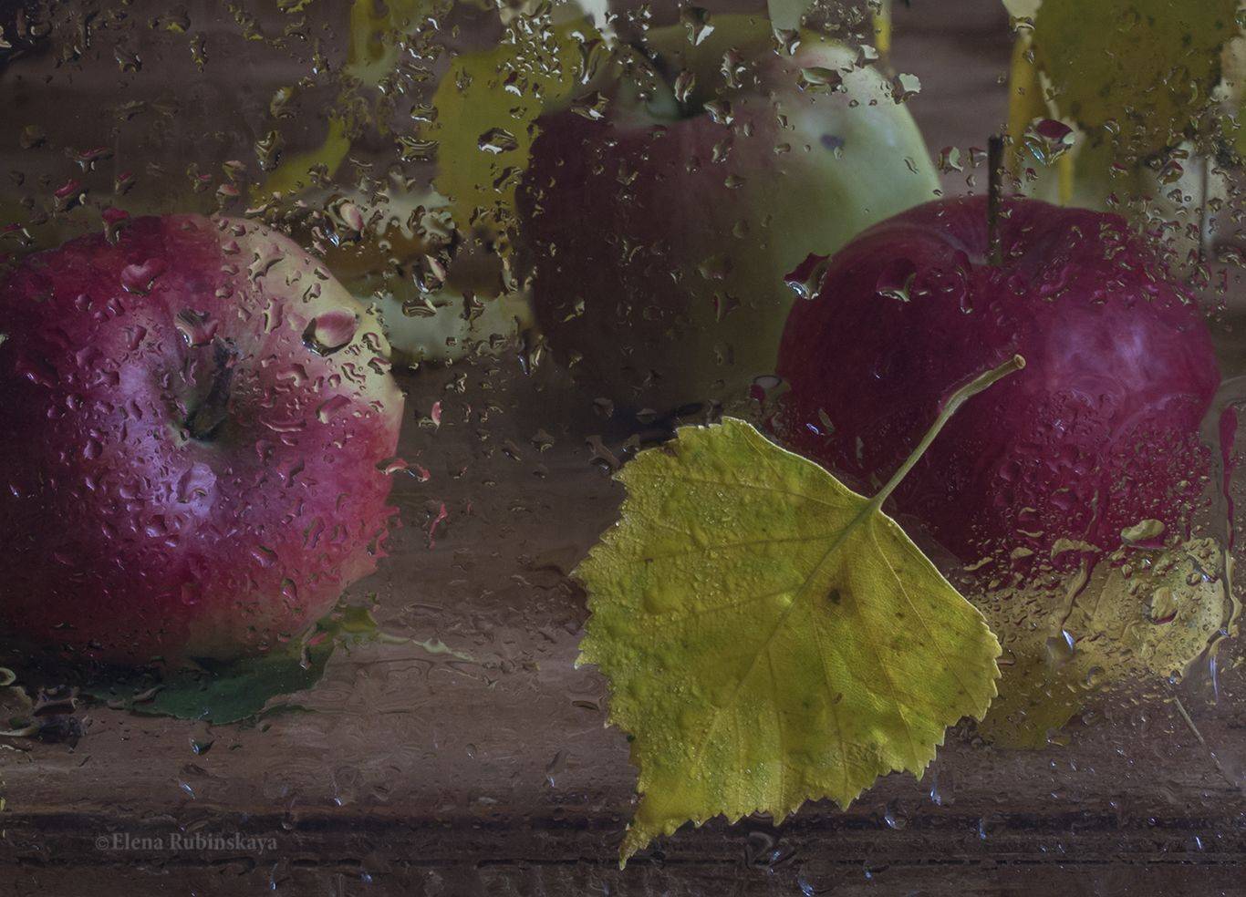 , Елена Рубинская