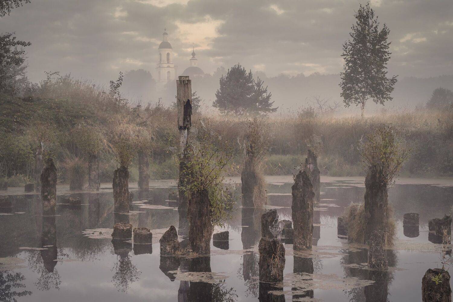 утро, рассвет, пруд, церковь, сваи, туман, природа, пейзаж, филипповское, Андрей Чиж