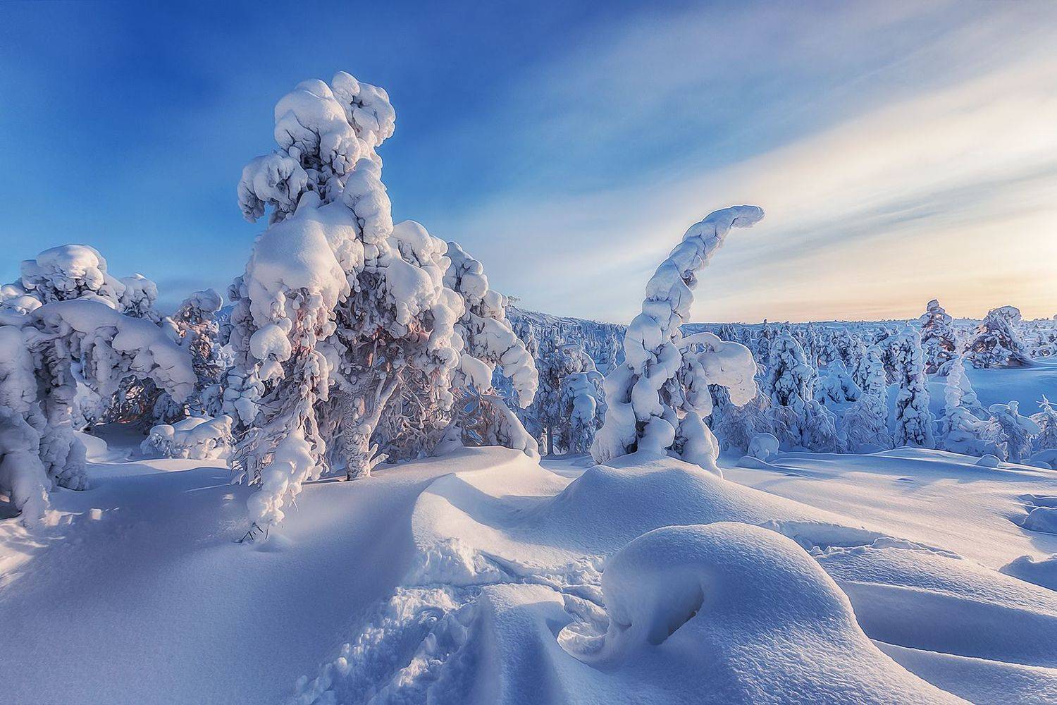 кольский, волосная, кандолакша, заполярье, Владимир Липецких
