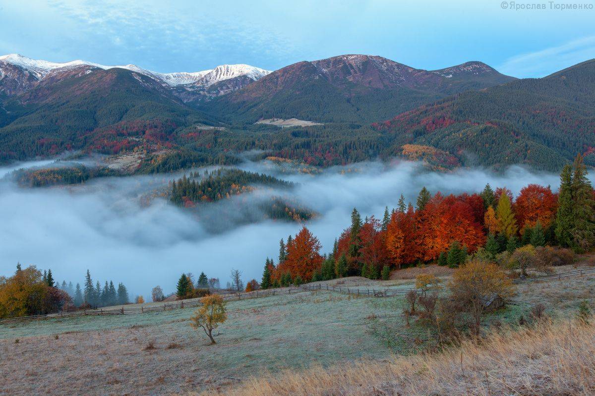 , Ярослав Тюрменко (Jaremi)