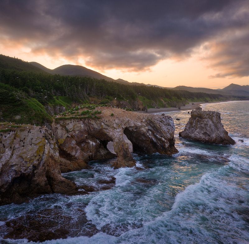 сахалин, мыс птичий, мыс великан Сахалин. Мыс Птичий фото превью