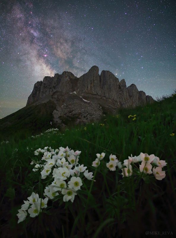 Сон в летнюю ночь фото превью