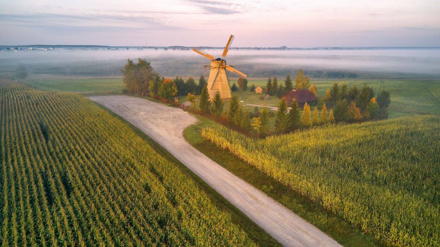 беларусь, мельница, минск и окрестности, осень, поля, рассвет, сентябрь, туман, утро, Вейзе Максим