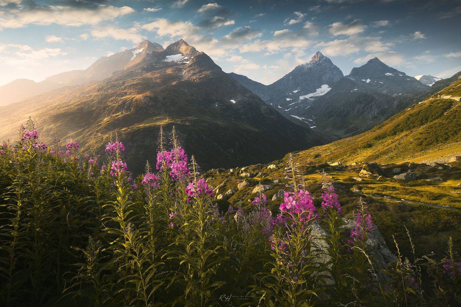 , Roksolyana Hilevych