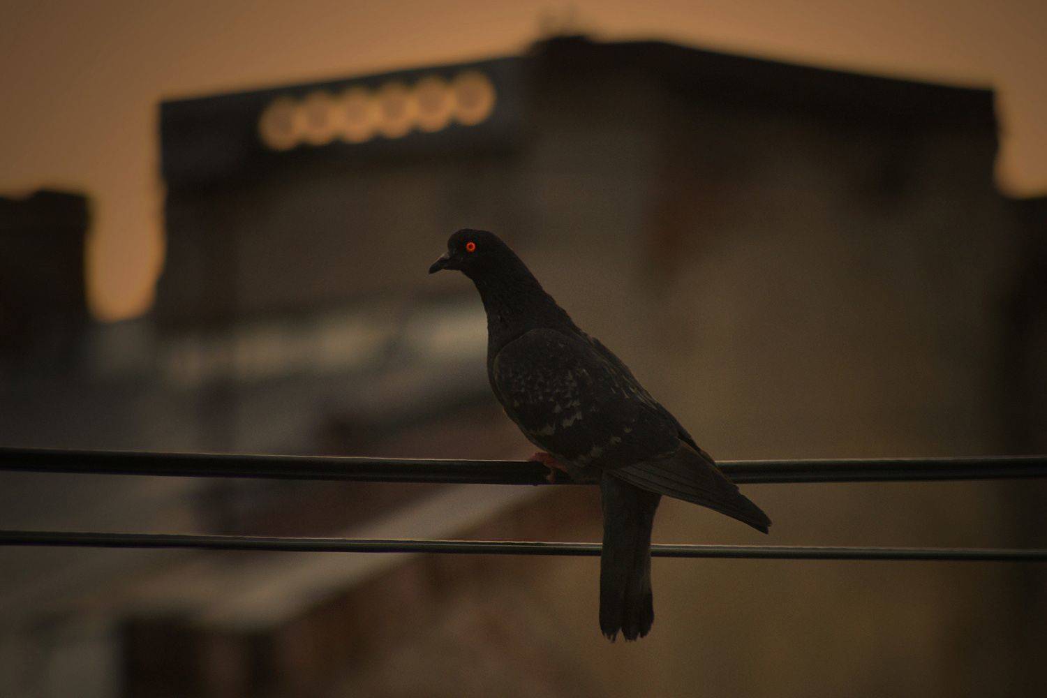 #deep.spb, #deepspb, #санктпетербург, #петербург, #спб, #питер, #saintpetersburg, #petersburg, #spb, #piter, #город, #city, #street, #streetphoto, #streetphotography, #cityscape, #urbex, #urbexphoto, #urbanexploration, #streetphotography, #architecture, #, deep.spb