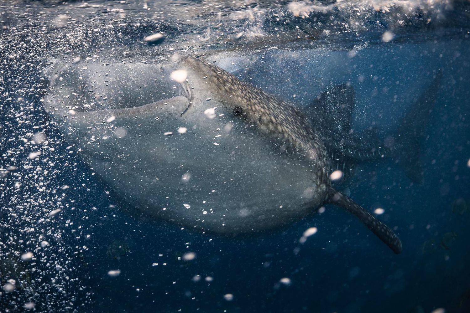 , Юрий Журавлев