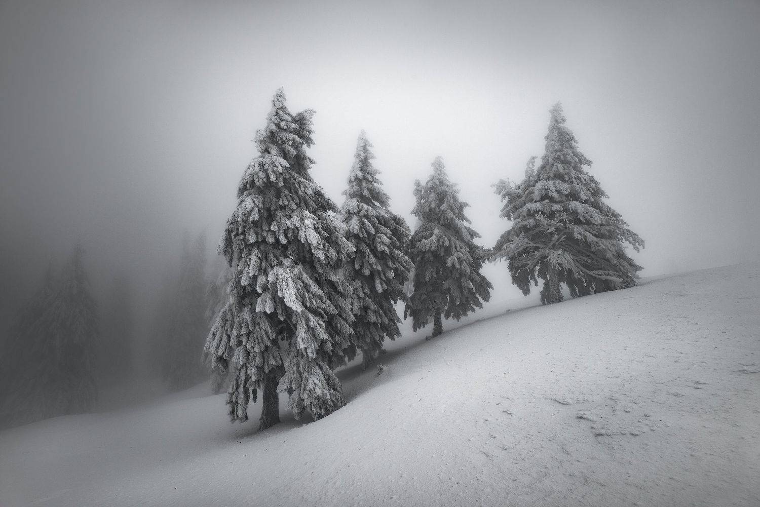 , Szabo Zsolt Andras