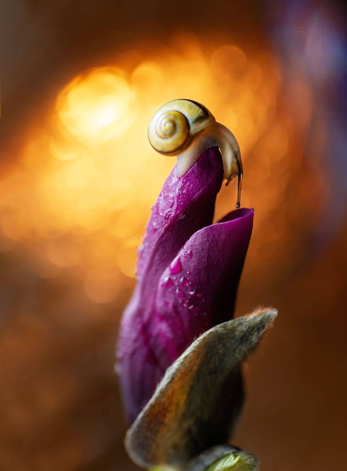 , Тарасова Ольга