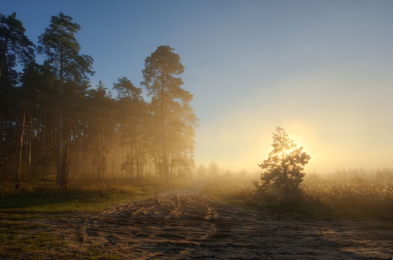 туман фото превью