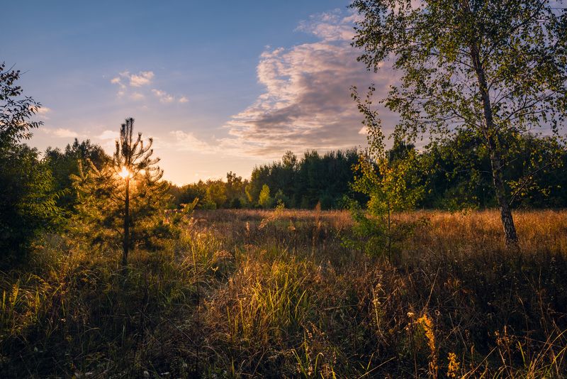 луг, осень, сентябрь, вечер, закат Последний луч заката солнца окрасит всё в багровый цвет фото превью