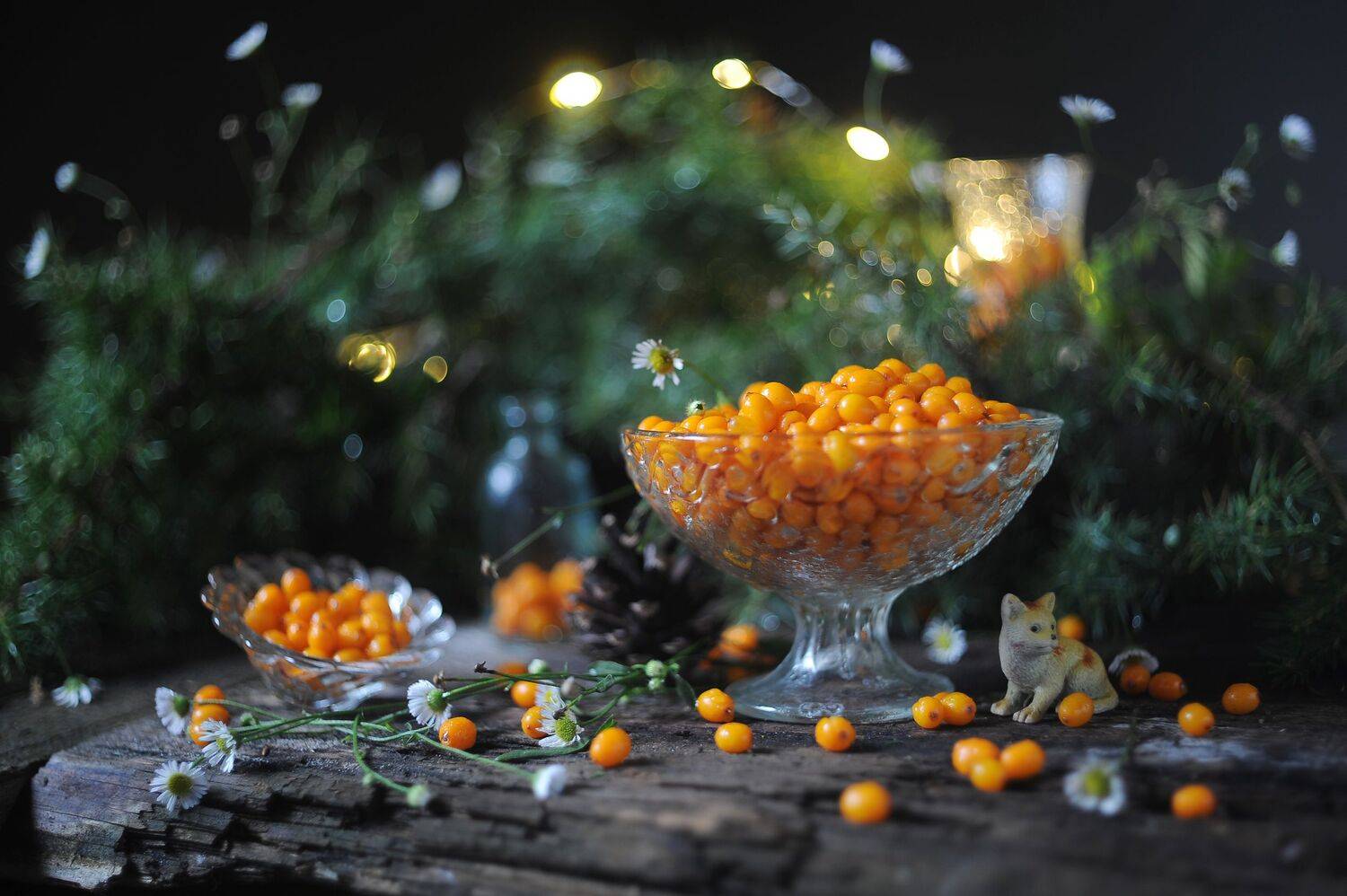 , Оксана Евкодимова