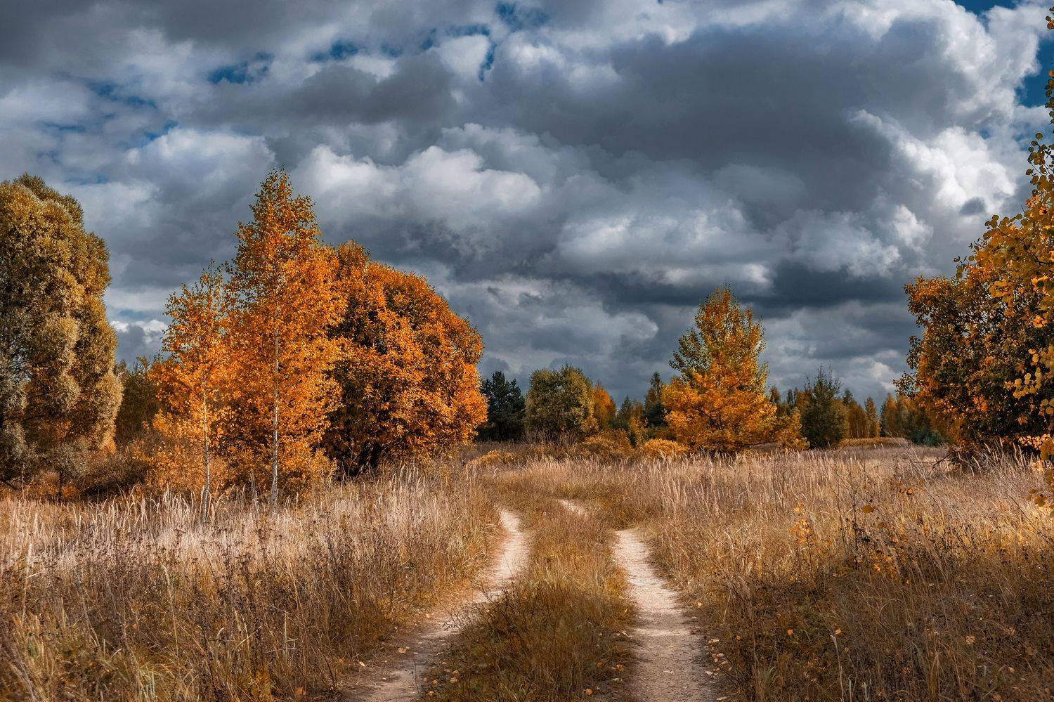 , Екатерина