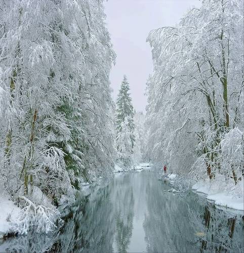 В гостях у сказки