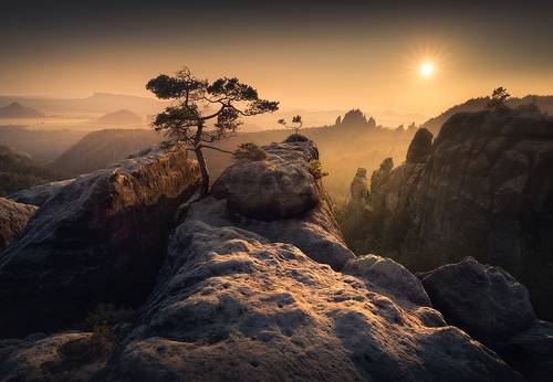 Saxony Sunset