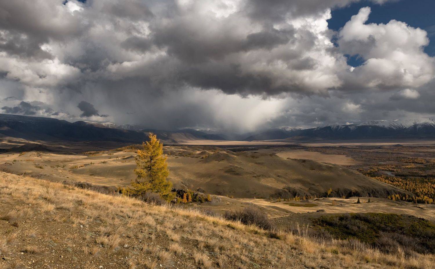 алтай, курайская степь., непогода.,, Марина Фомина