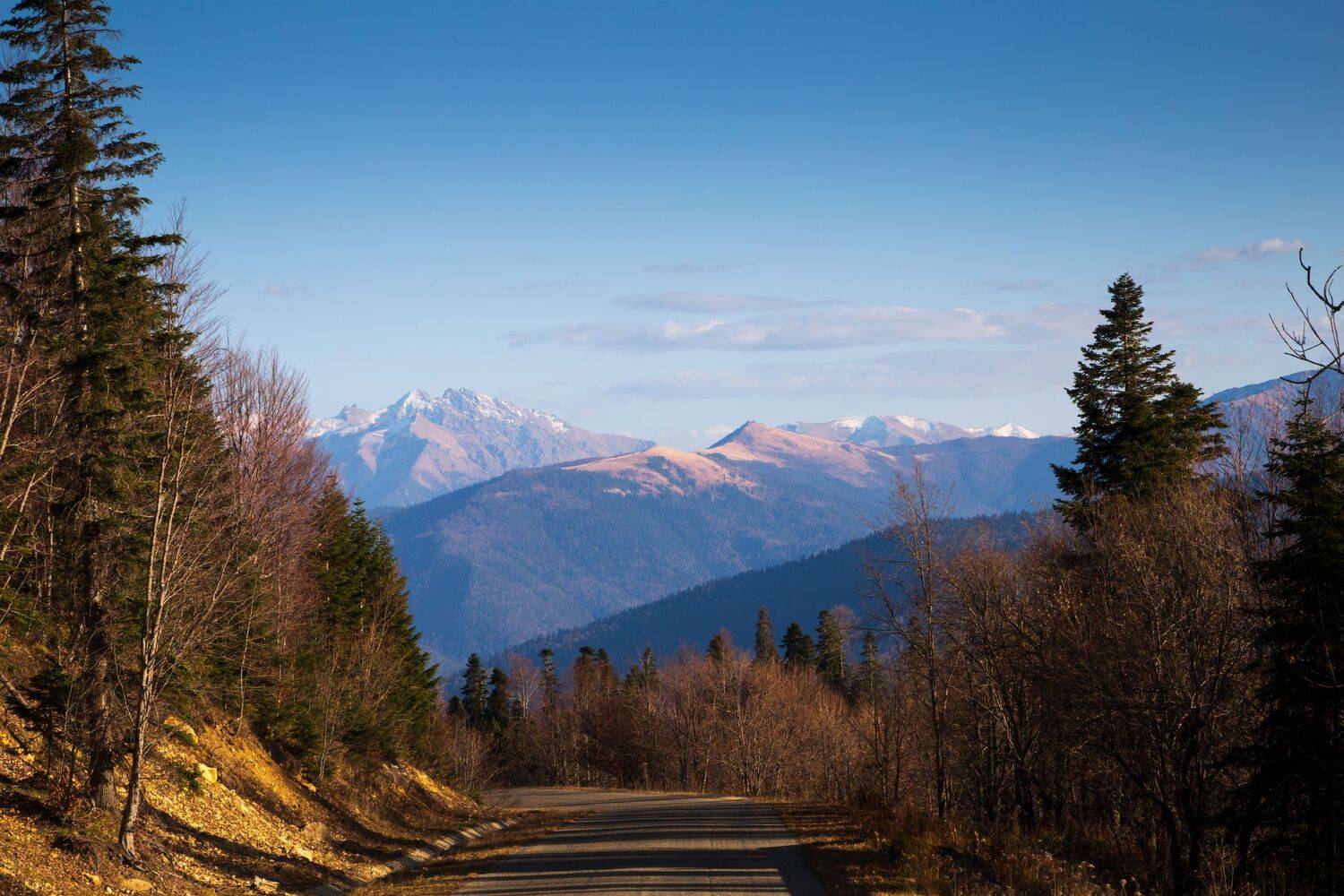 северный кавказ, Алексей Рыльский