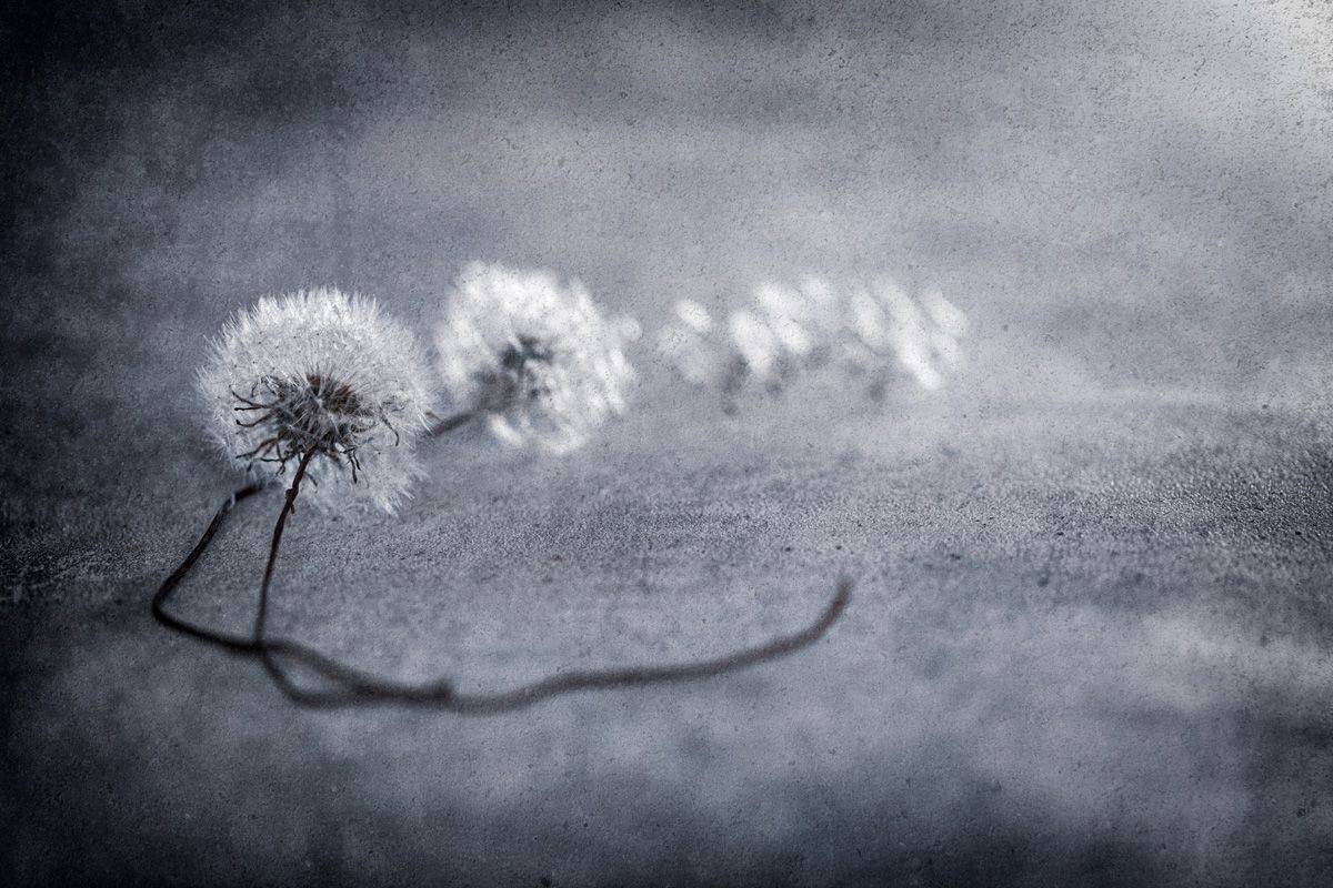 close-up, Игорь Копцев