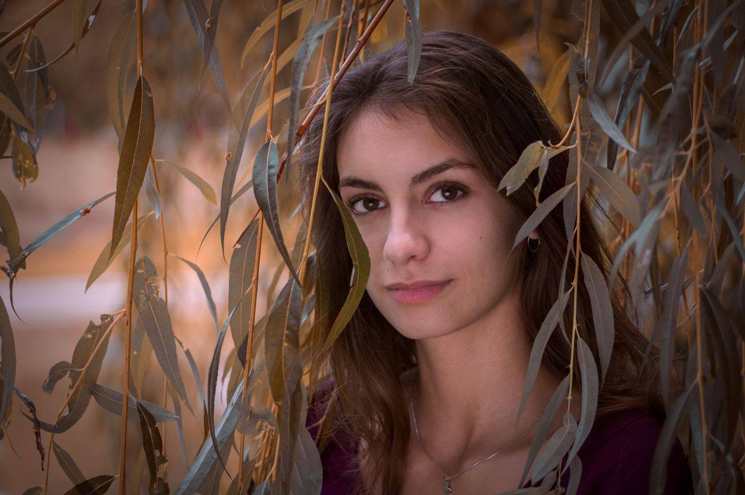 , Maciej Werbliński