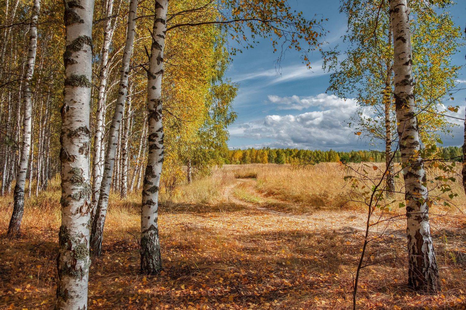 , Екатерина