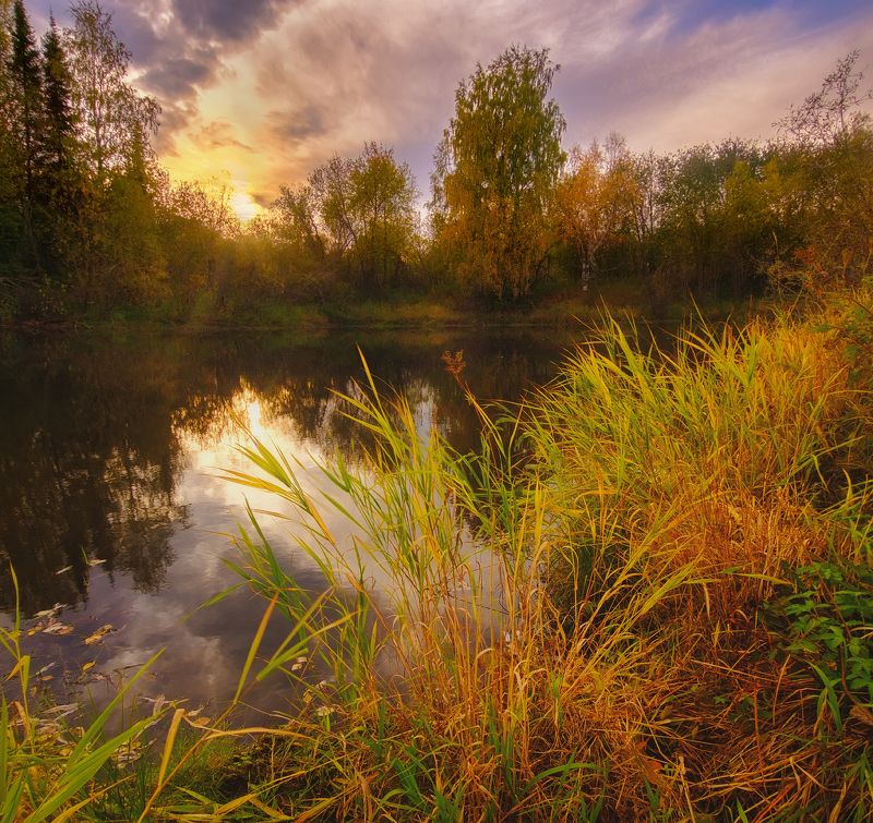 печора, лес, север Осенняя пора севера фото превью