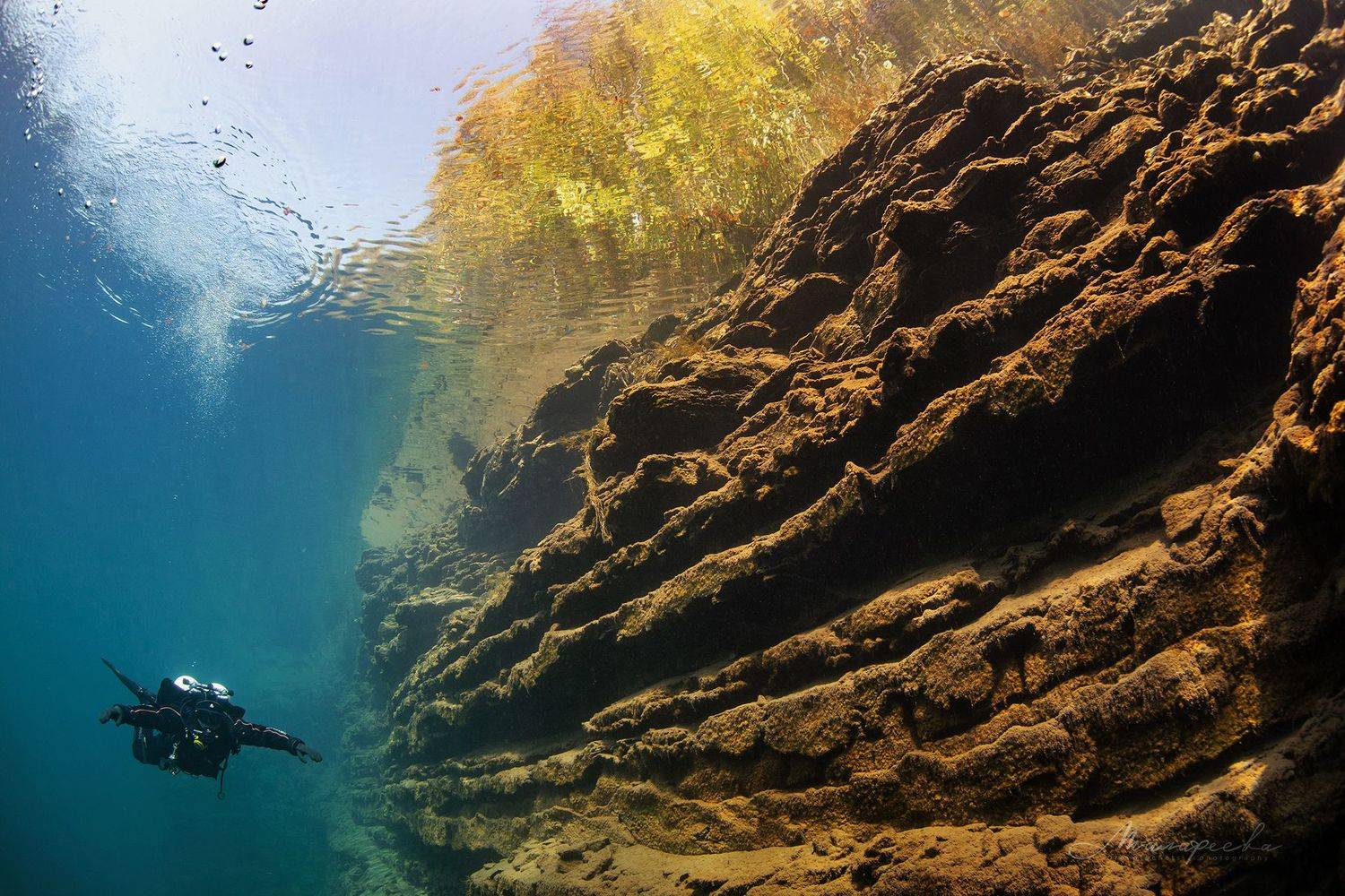 подводное фото, налим, вода, дайвер, источник, Малафеева Елена