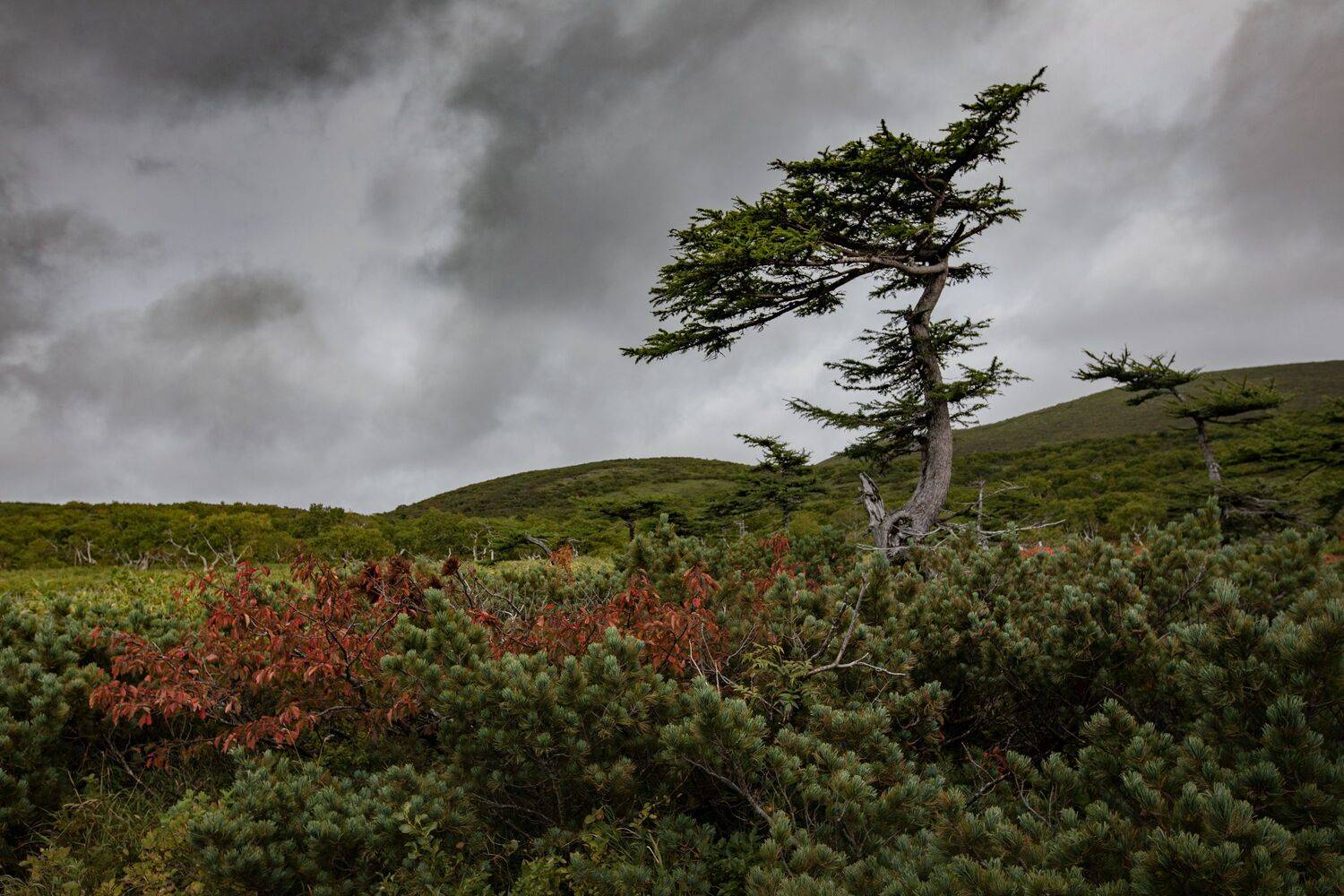 russia, iturup, island, landscape, volcano, Roman Bevzenko