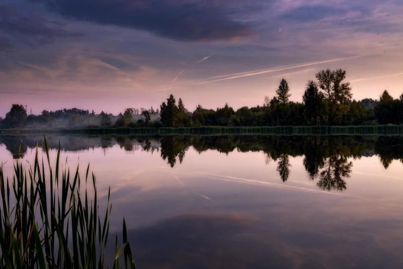 Пейзаж возле дома. фото превью