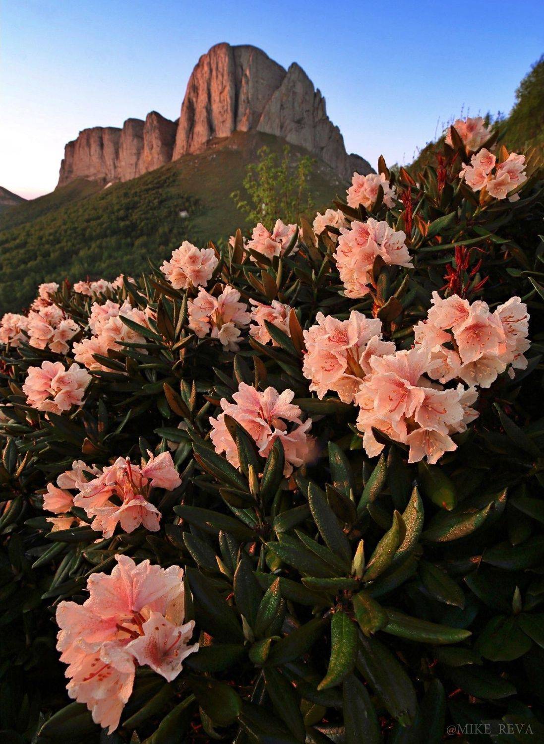 ночь кавказ ночной пейзаж астрофотография звезды созвездия, Михаил Рева