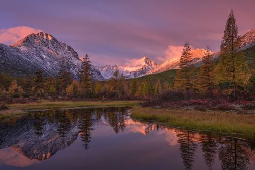 Розовое пробуждение....