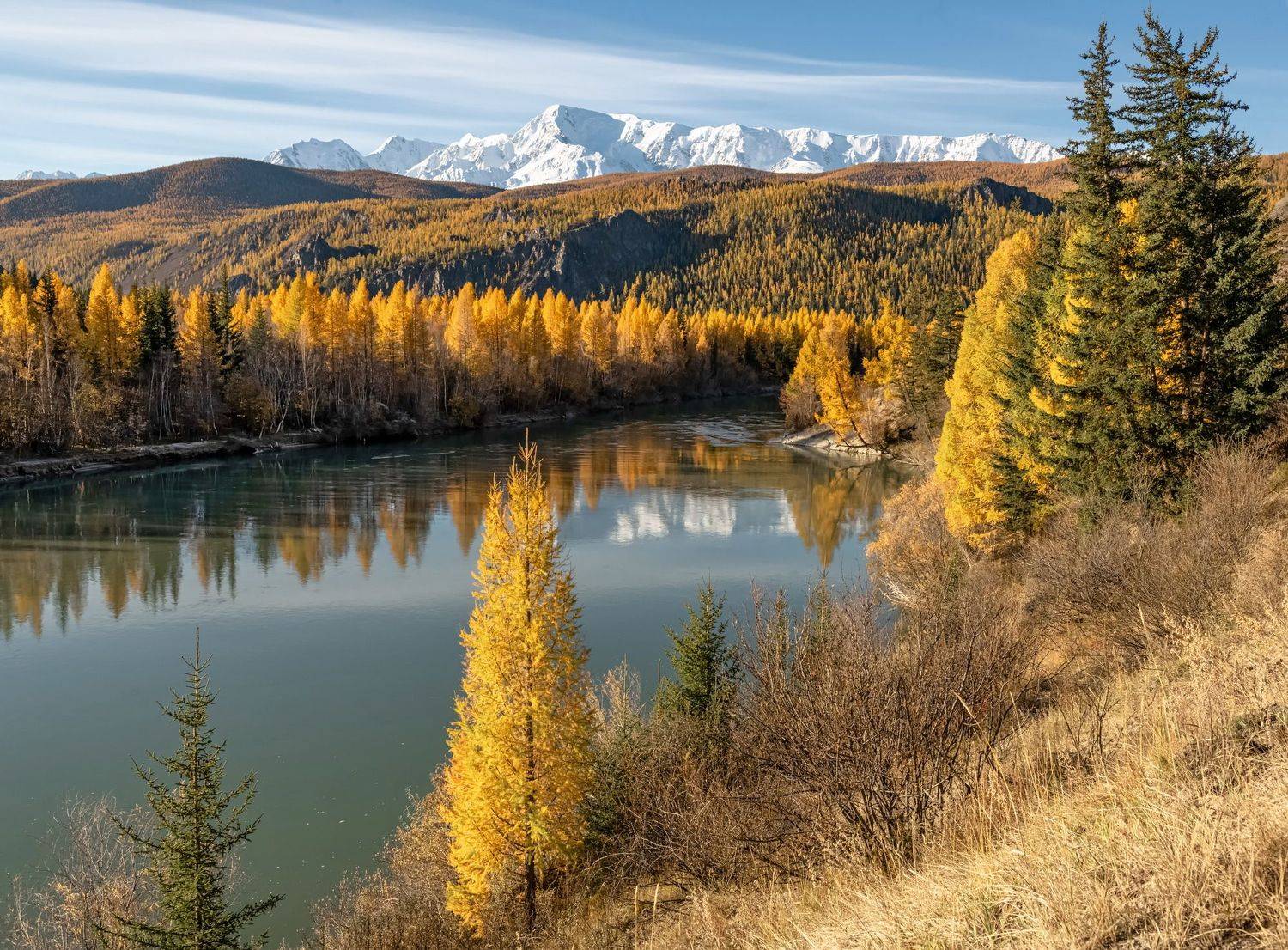 алтай, осень, чуя., Марина Фомина