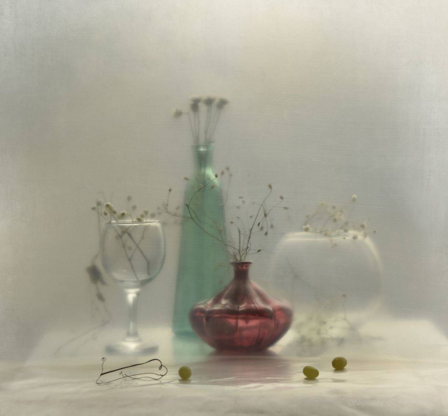 , Шипунова Ирина