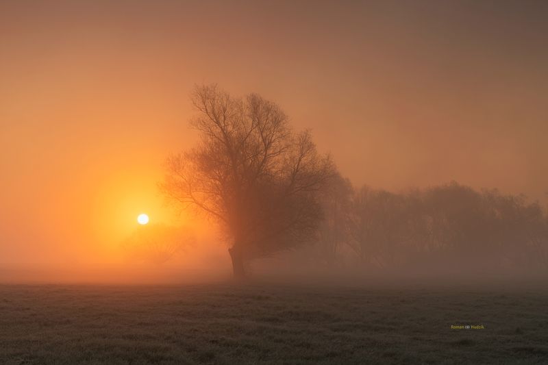 landscape, Kociewie, Poland, sunrise, fog, tree, orange colors, fields Kociewie фото превью