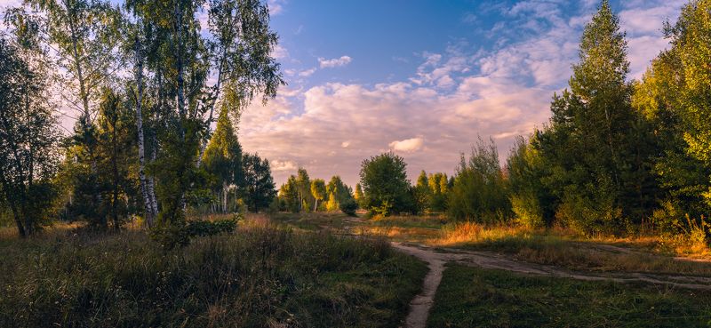 луг осень сентябрь вечер закат Когда сентябрь стучится в двери фото превью