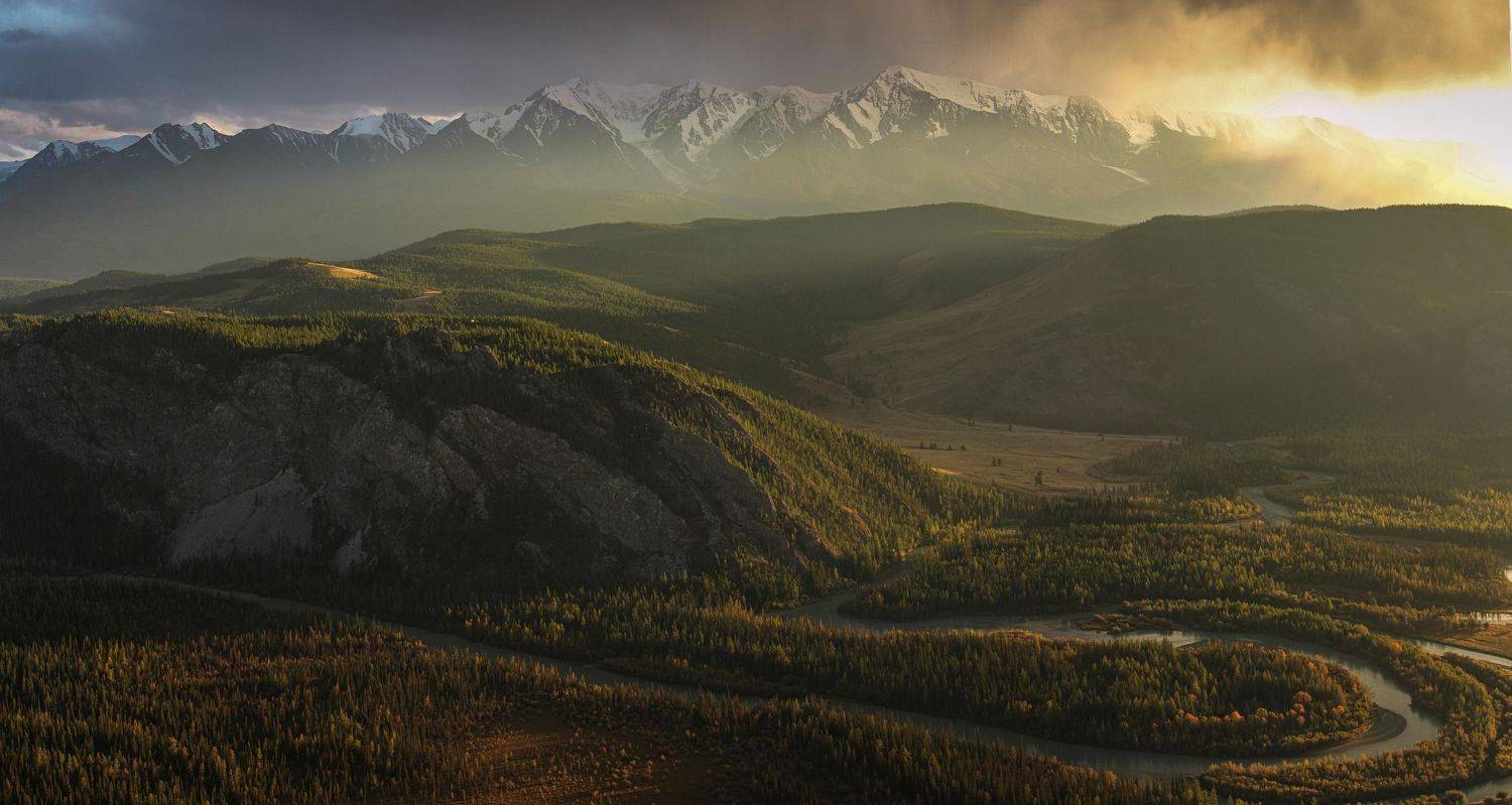 , Александр Казин