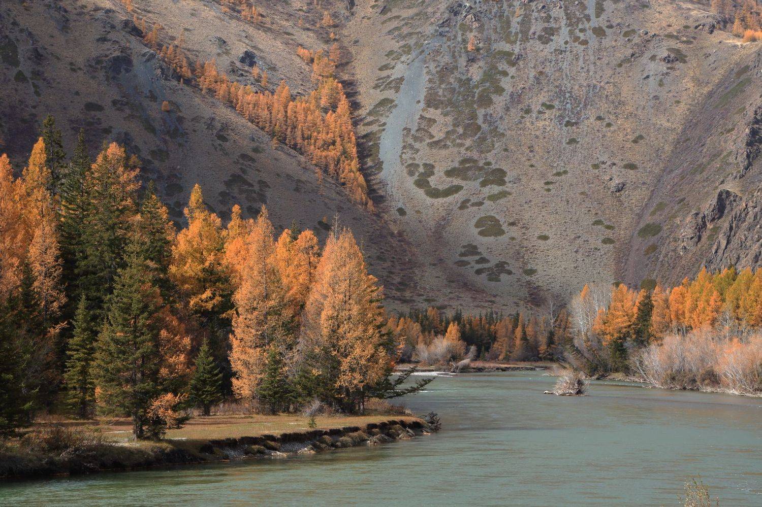 , Евгений Зинов