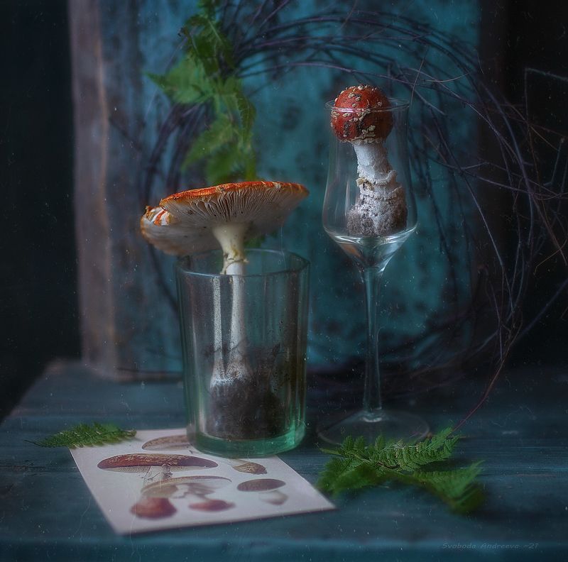 коктейль из благородных грибов* фото превью