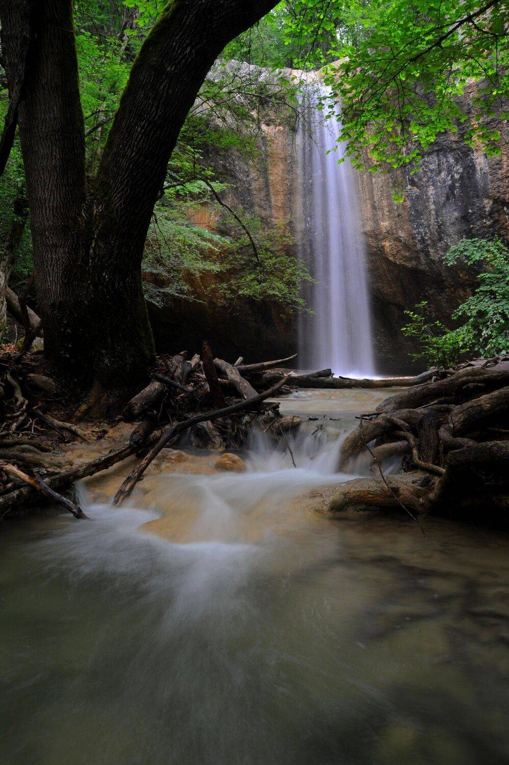 , Дарья Васильева
