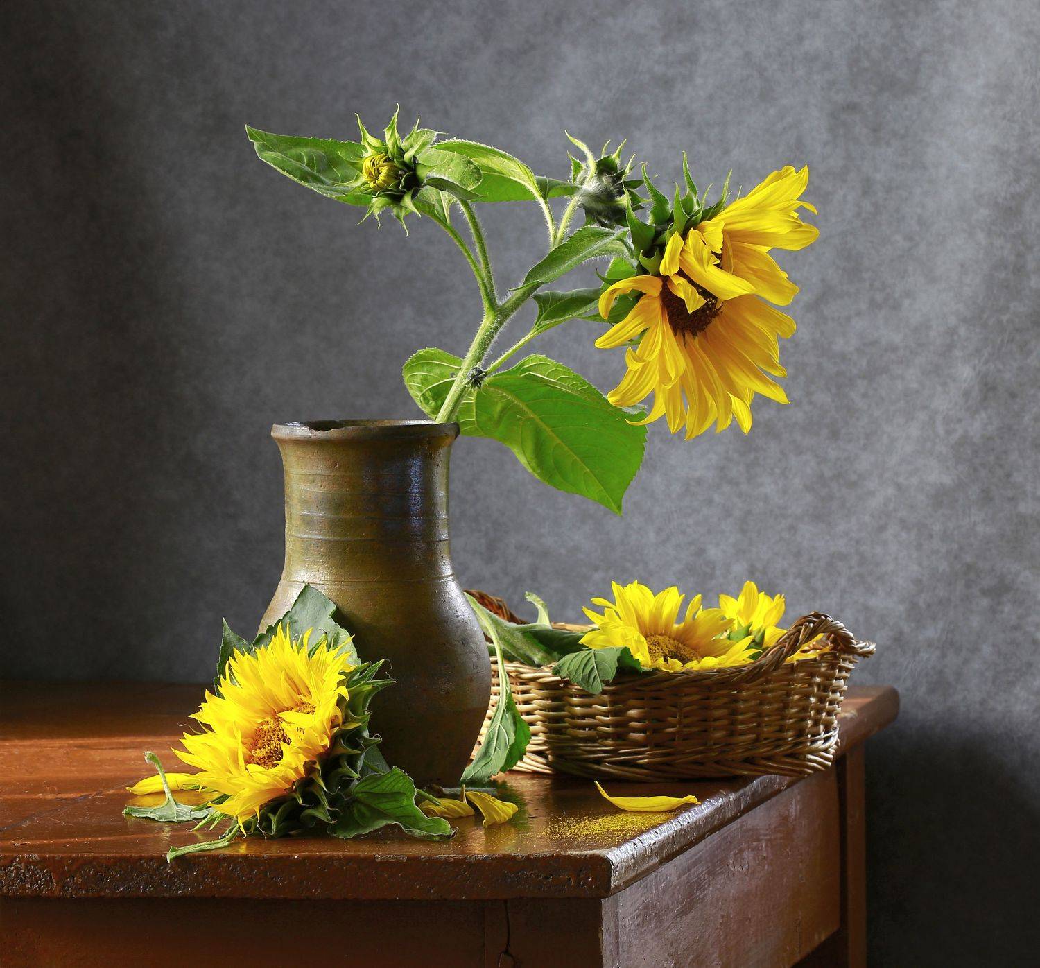 натюрморт, фотонатюрморт, осень, подсолнухи, наталья казанцева, Наталья Казанцева