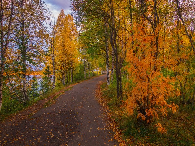 Осенняя Печора фото превью