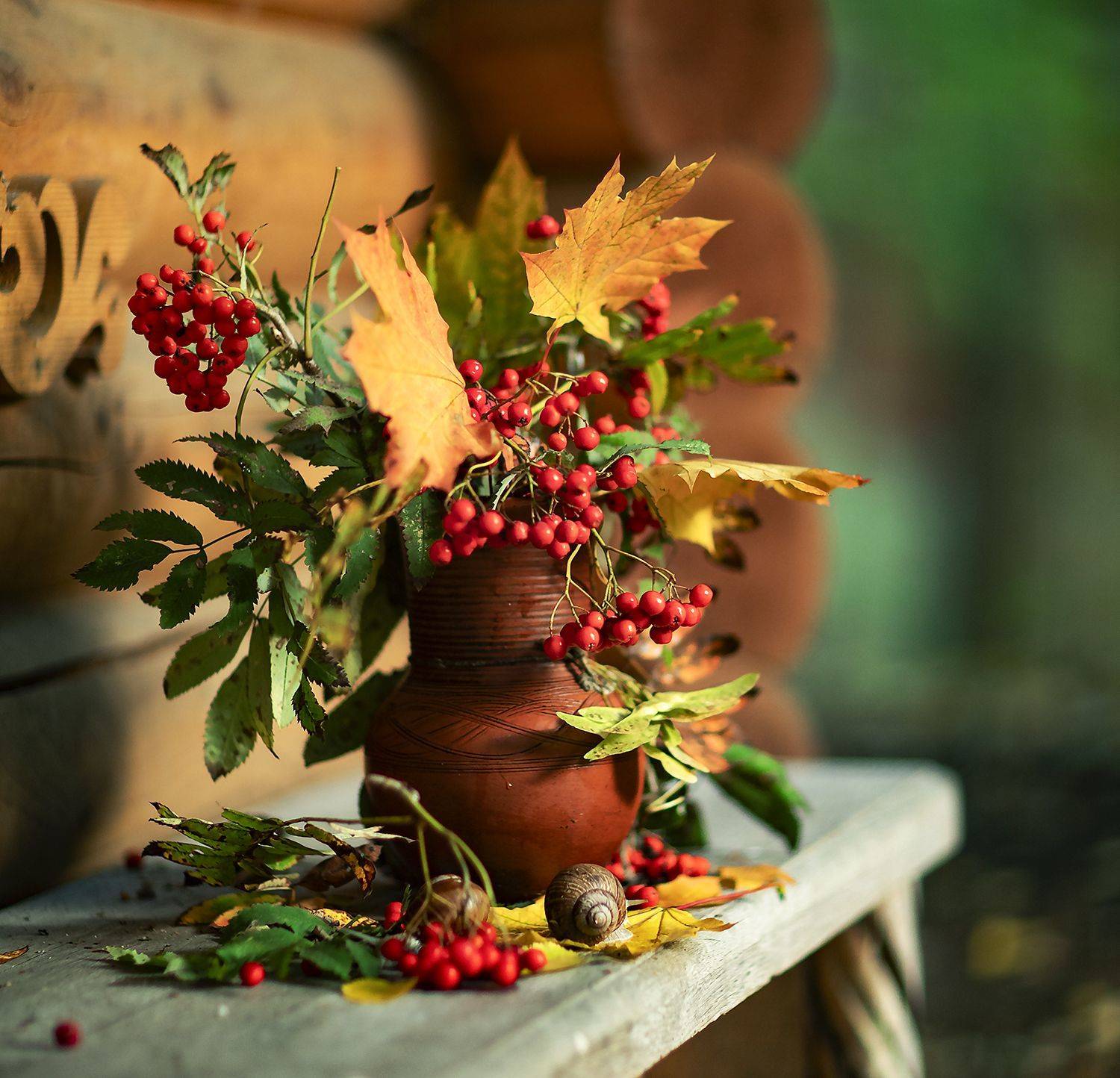 осень, натюрморт,ягоды, рябина, улитки,клён,листья, stilllife, autumn, snail,berry, foliage, nature, Юлия Стукалова