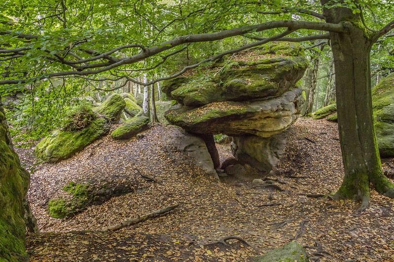 Im Labyrinth bei Langenhennersdorf. фото превью