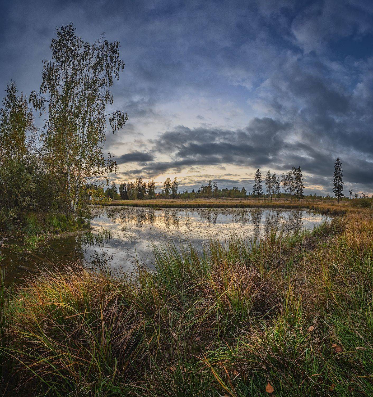 , Николай Андреев