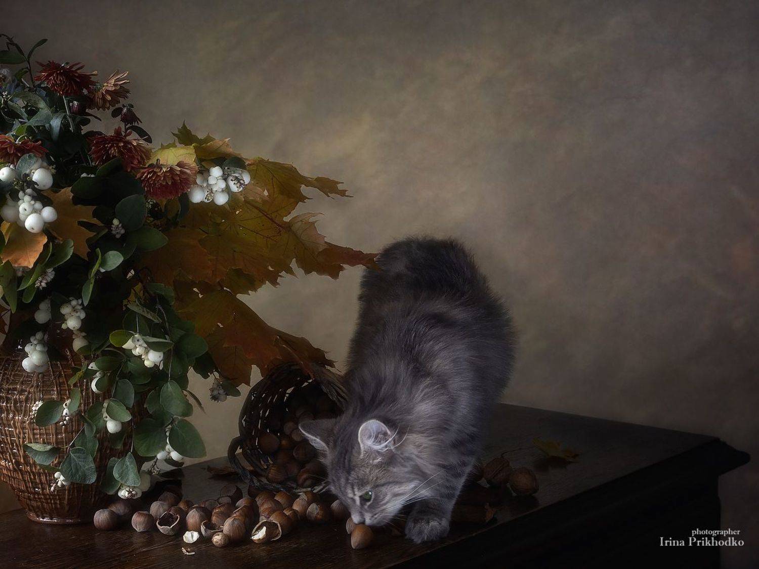 постановочное фото, осень, осенний букет, орехи, любопытный котенок, Ирина Приходько