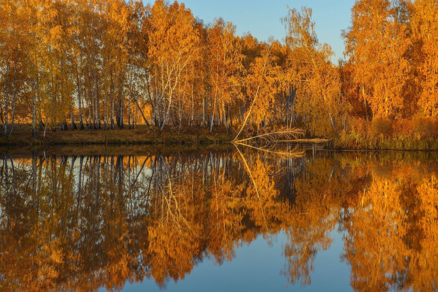 , Кутыгин Эдуард